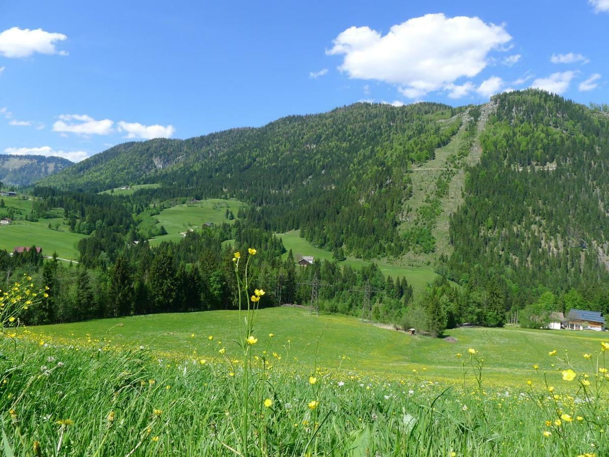 Апартаменты Alpenhaus Dachstein.Zauber Абтенау Экстерьер фото