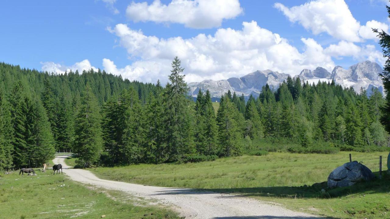 Апартаменты Alpenhaus Dachstein.Zauber Абтенау Экстерьер фото