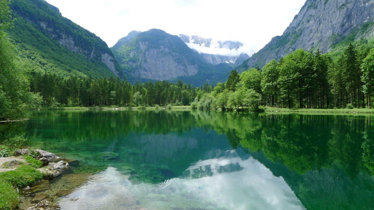 Апартаменты Alpenhaus Dachstein.Zauber Абтенау Экстерьер фото