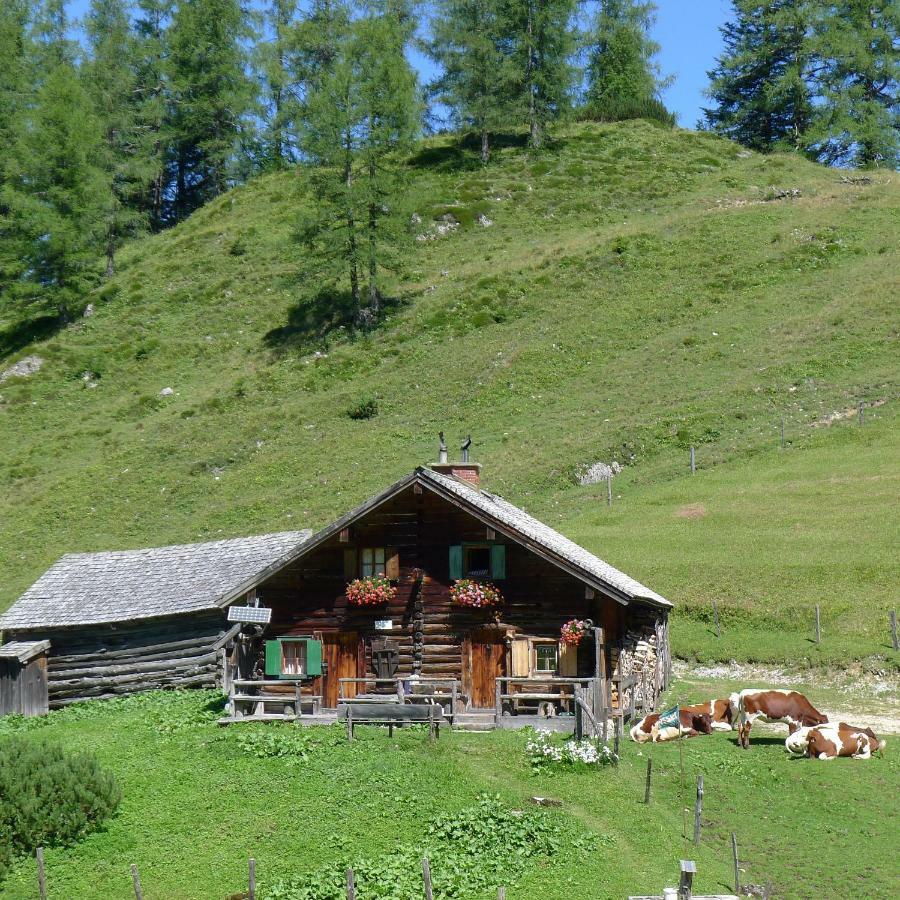 Апартаменты Alpenhaus Dachstein.Zauber Абтенау Экстерьер фото