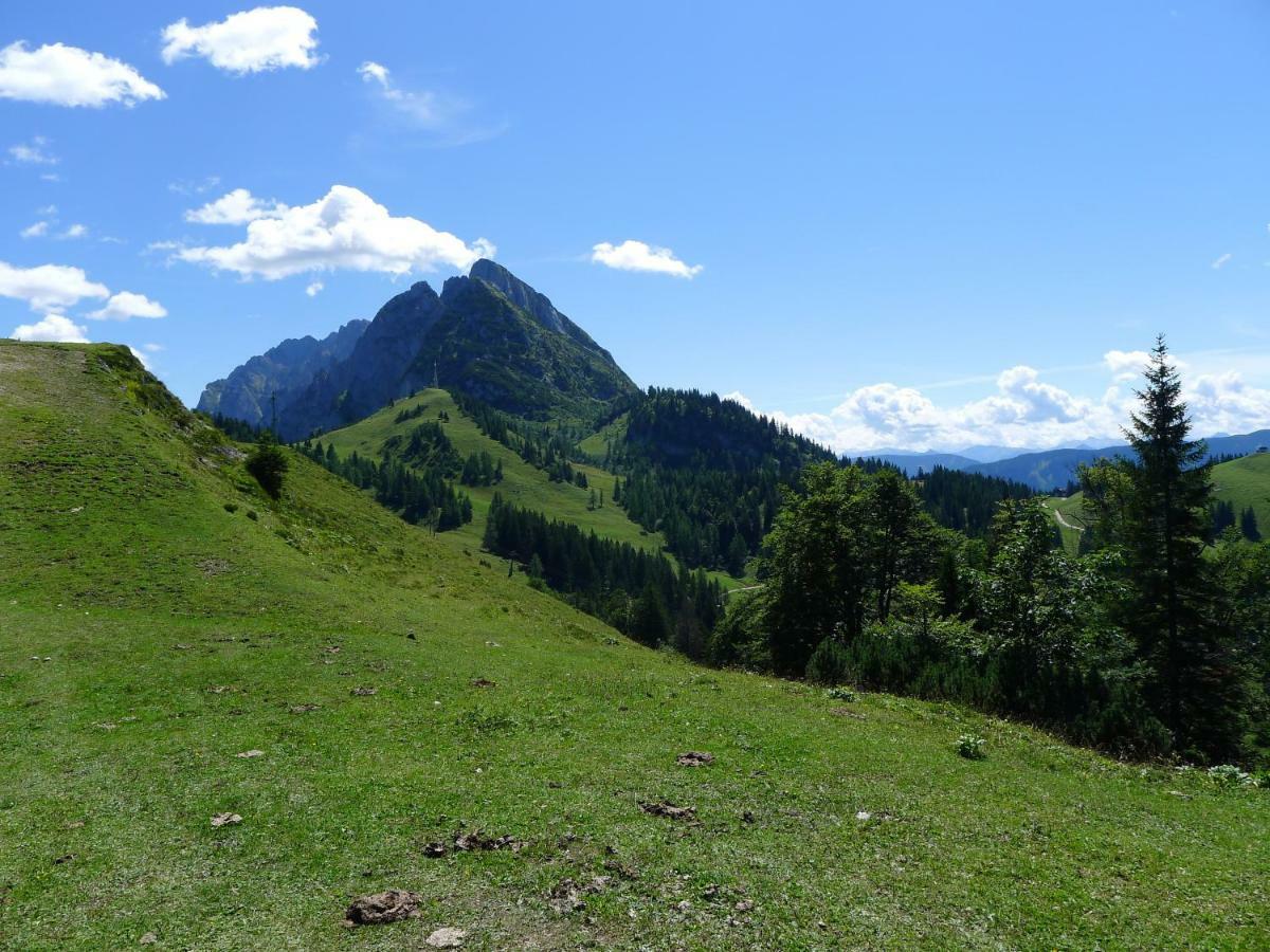 Апартаменты Alpenhaus Dachstein.Zauber Абтенау Экстерьер фото