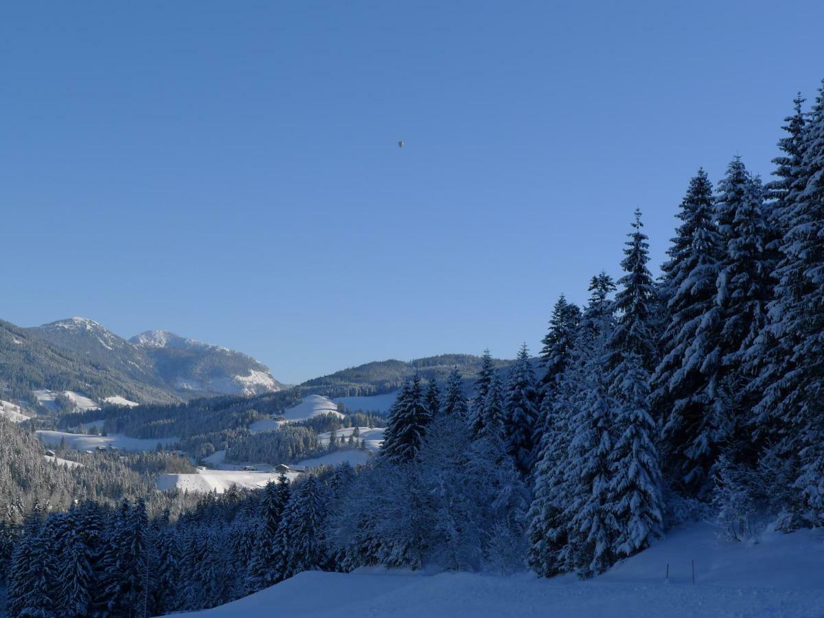 Апартаменты Alpenhaus Dachstein.Zauber Абтенау Экстерьер фото